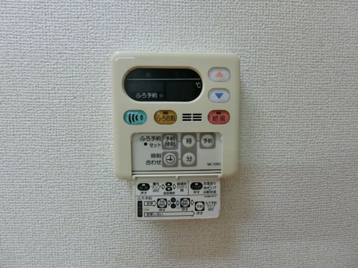 チェリーブロッサムのその他画像