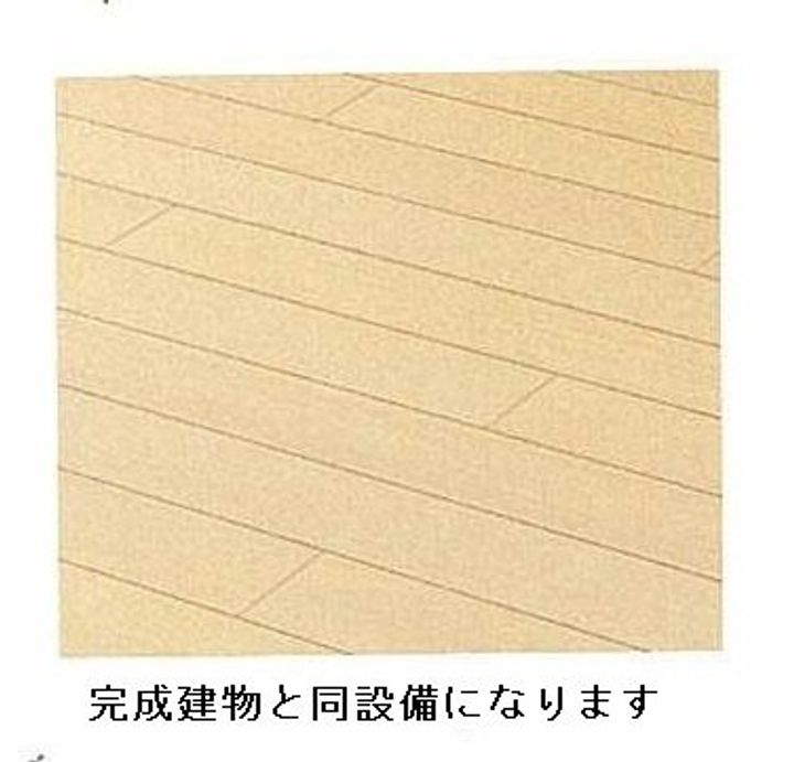 ルナリアⅠのその他画像
