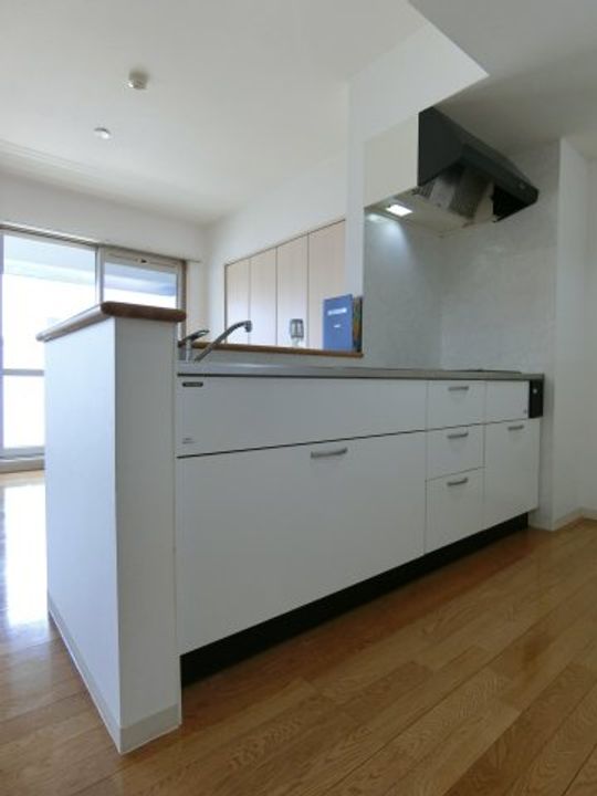 スカイマンションF203のキッチン