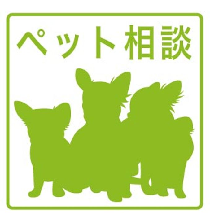愛知県名古屋市中村区千原町(マンション)の賃貸物件のその他画像