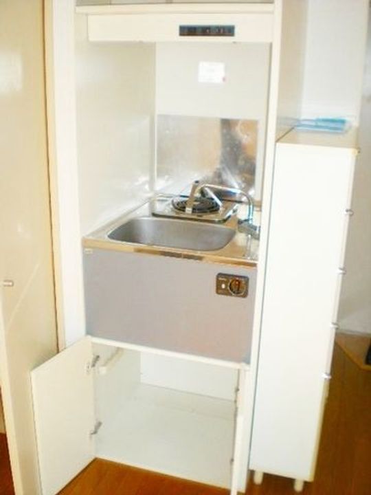 エルミタージュ201のキッチン