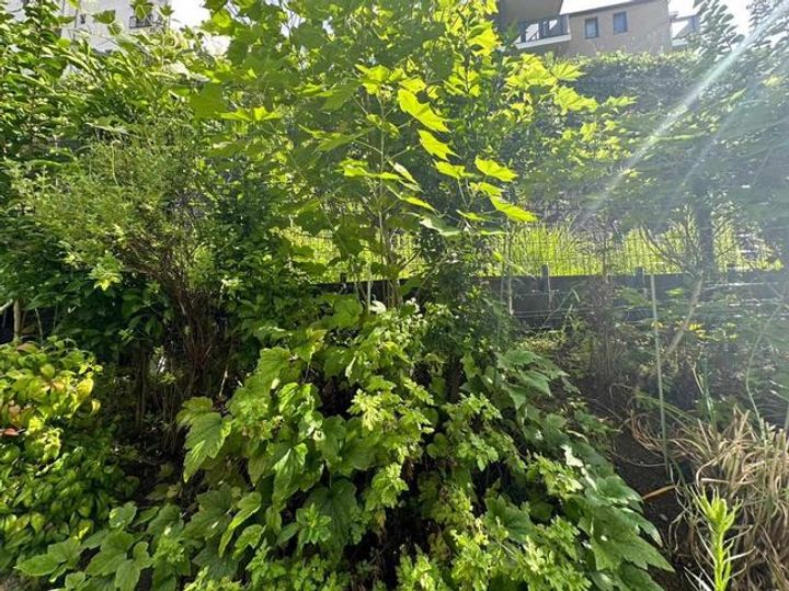 ハイツ福田0101のその他画像