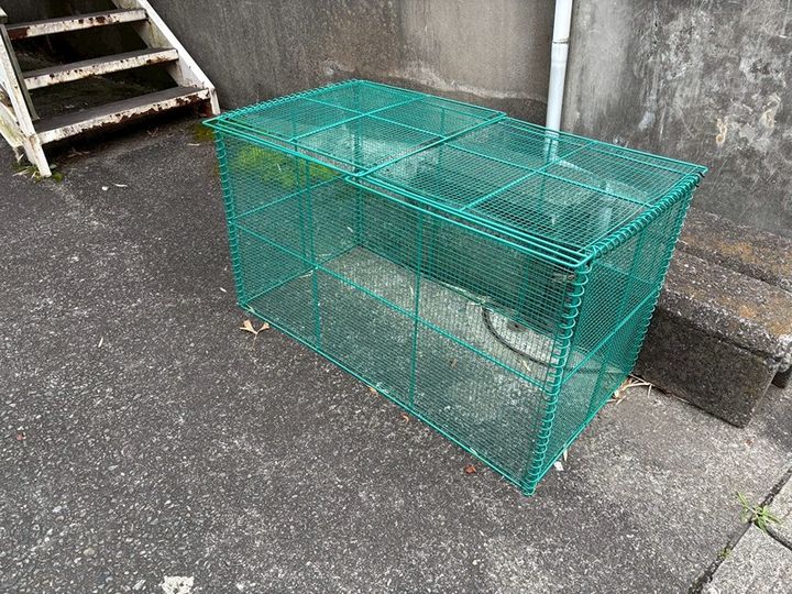 ブルク大澤105のその他画像