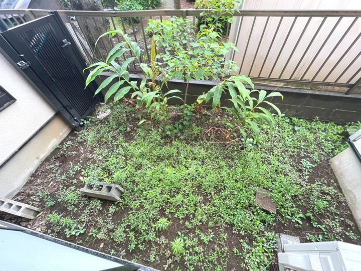 ネオステージ岸根公園103の内装