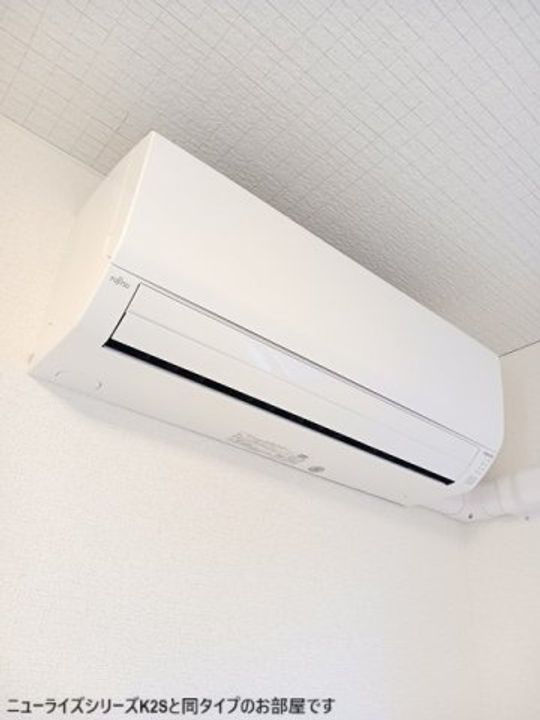 クローバーのその他画像