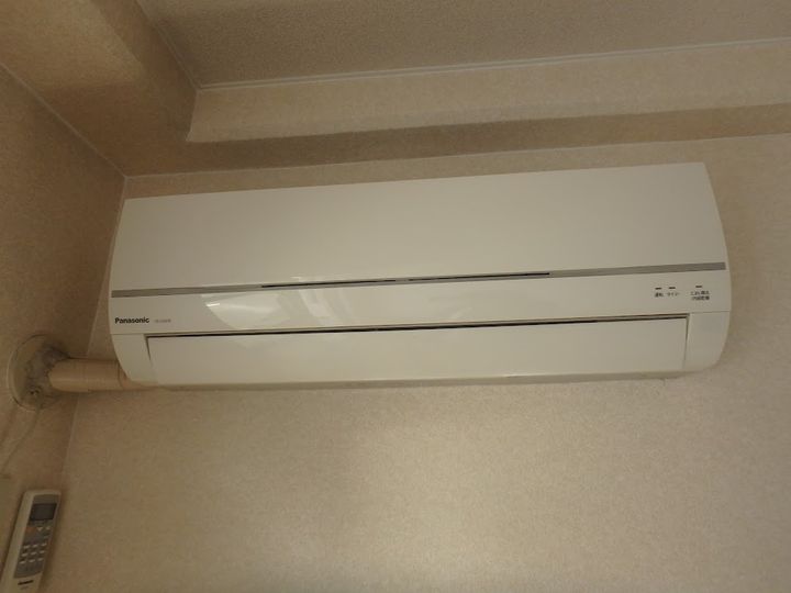 ペルベーネタカラのその他画像