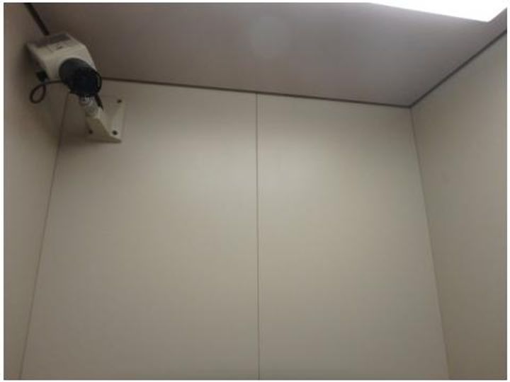 ペルベーネタカラのその他画像
