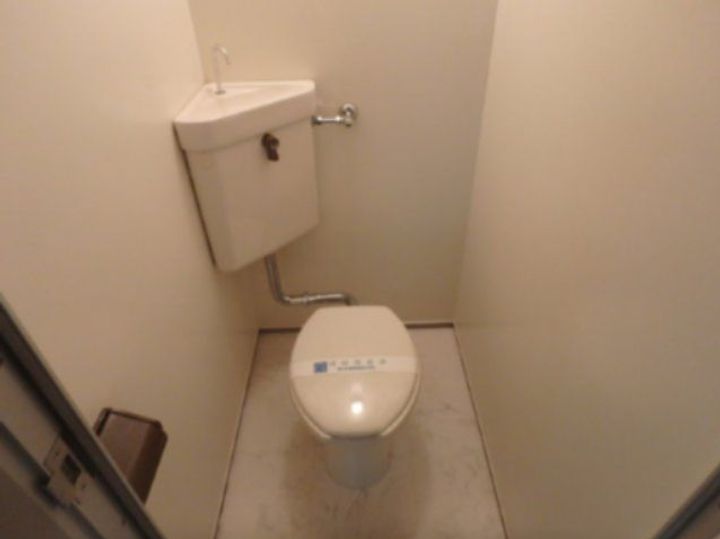 ペルベーネタカラのその他画像