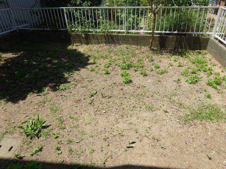 ガーデンハイツ箕島のその他画像