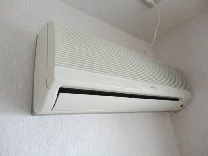 ウィズドムのその他画像