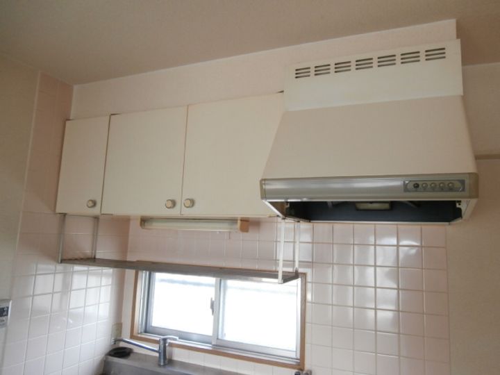 アネシス・ヒロのその他画像