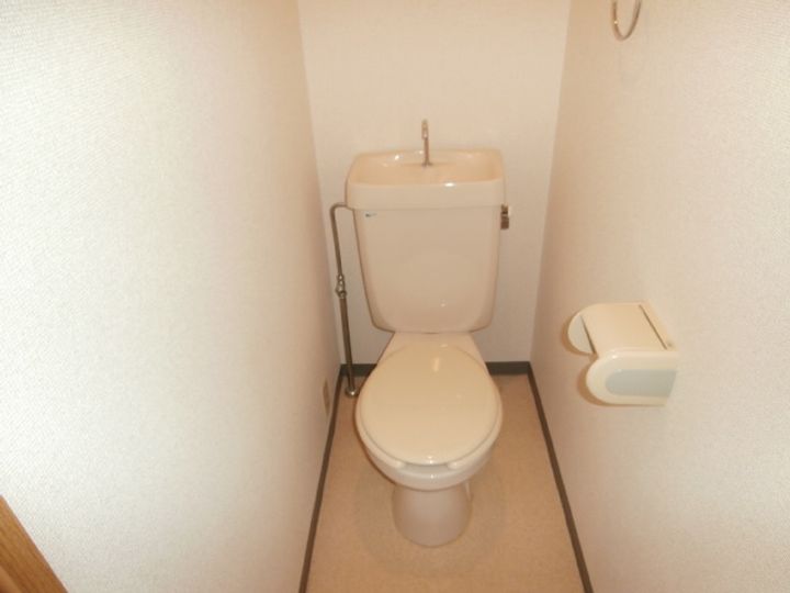 アネシス・ヒロのその他画像