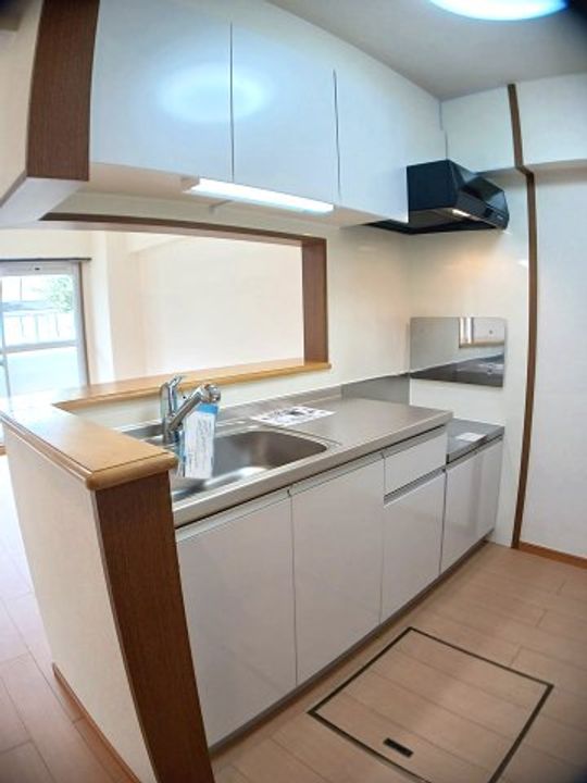 和歌山県和歌山市毛見(マンション)の賃貸物件のキッチン