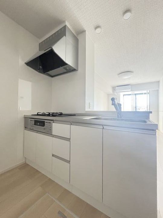 和歌山県岩出市山(アパート)の賃貸物件のキッチン