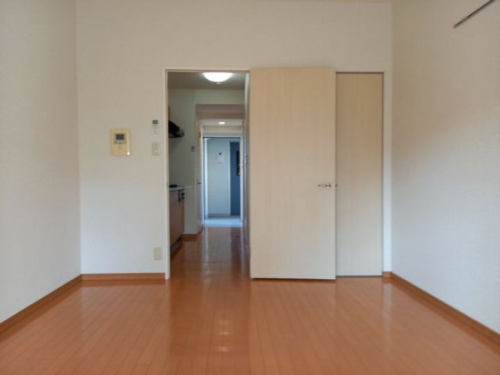 和歌山県和歌山市友田町5丁目(マンション)の賃貸物件の居間