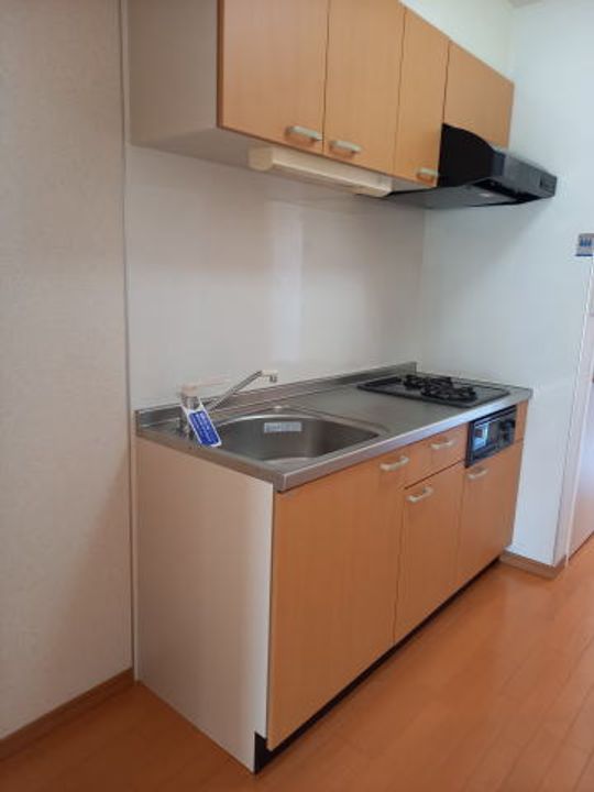 和歌山県和歌山市友田町5丁目(マンション)の賃貸物件のキッチン