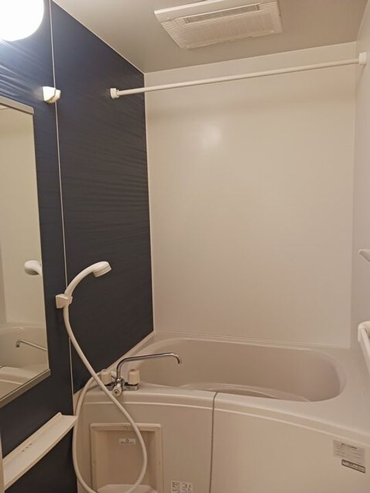 和歌山県和歌山市松ケ丘2丁目(アパート)の賃貸物件の風呂