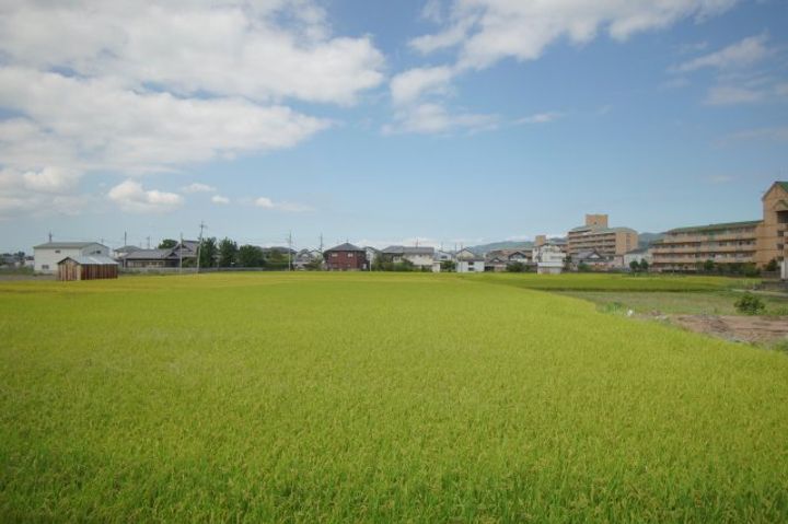 和歌山県和歌山市島(アパート)の賃貸物件のその他画像