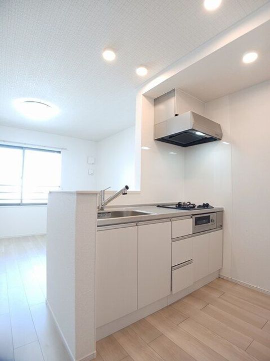 和歌山県和歌山市本町5丁目(アパート)の賃貸物件のキッチン