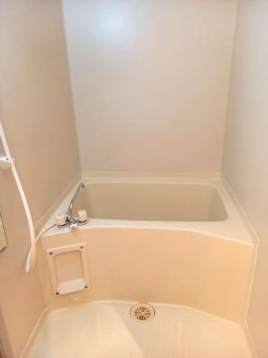 和歌山県和歌山市岡南ノ丁(マンション)の賃貸物件の風呂
