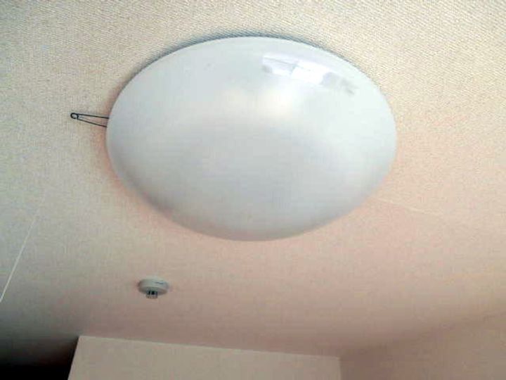 クレストモナークのその他画像