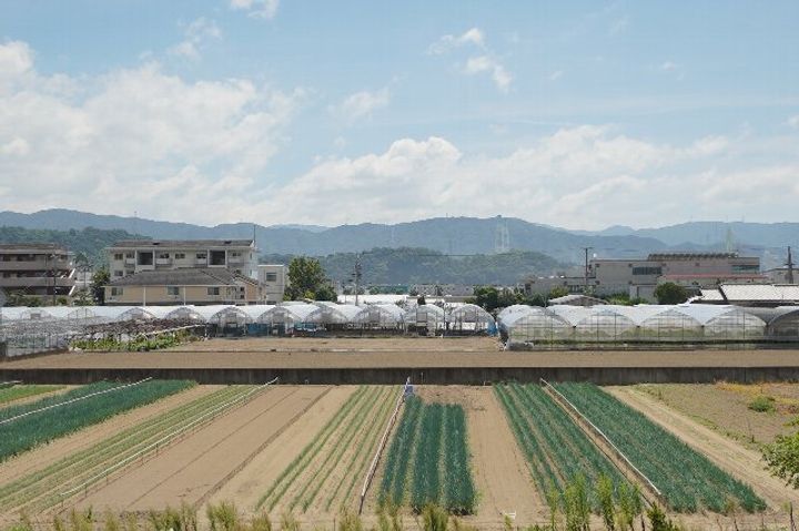 和歌山県和歌山市布引(アパート)の賃貸物件のその他画像