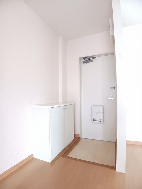 和歌山県和歌山市布施屋(アパート)の賃貸物件の玄関