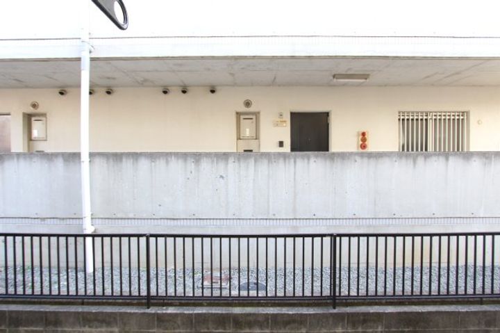 楠見中ディアスのその他画像