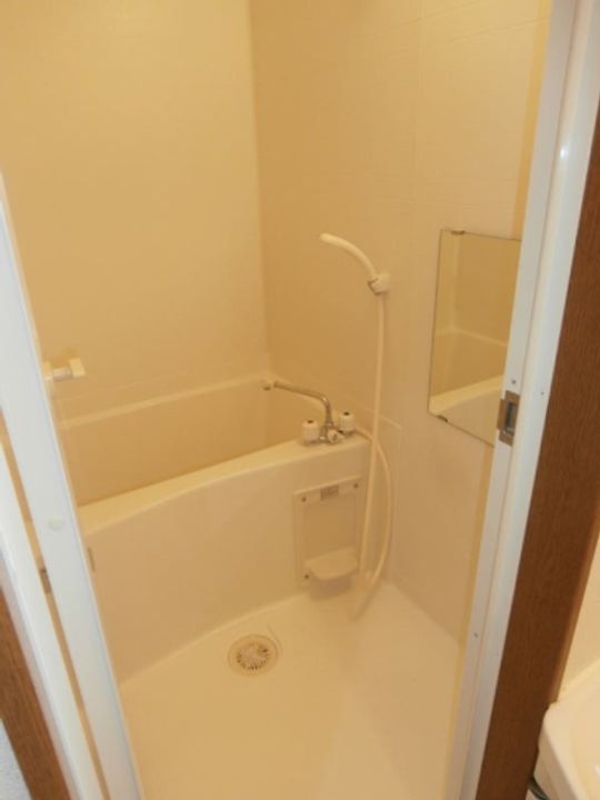 和歌山県和歌山市有家(アパート)の賃貸物件の風呂