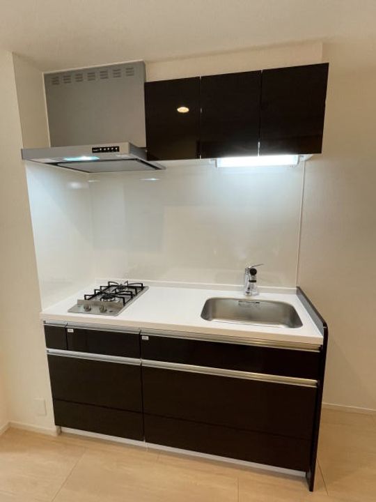 和歌山県和歌山市紀三井寺(マンション)の賃貸物件のキッチン