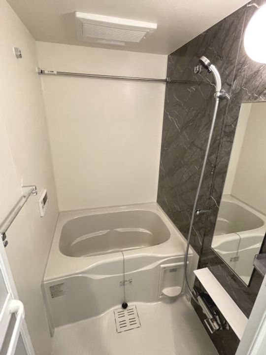 和歌山県和歌山市紀三井寺(マンション)の賃貸物件の風呂