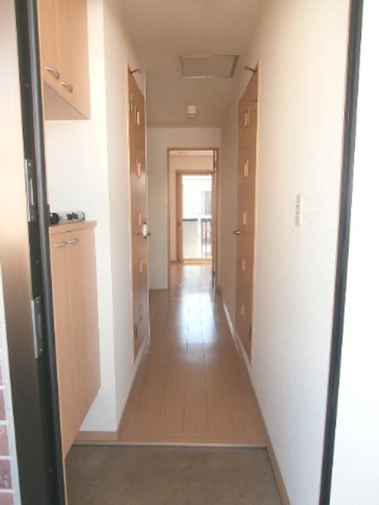 和歌山県和歌山市松島(アパート)の賃貸物件の玄関