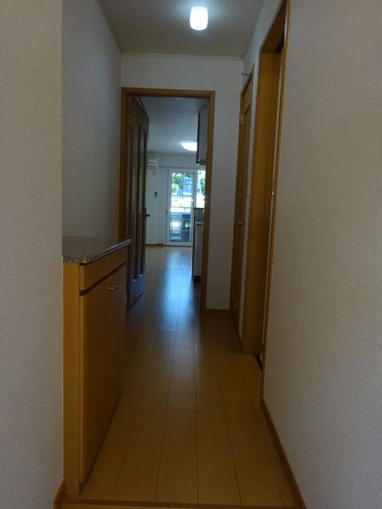 和歌山県和歌山市冬野(アパート)の賃貸物件の内装