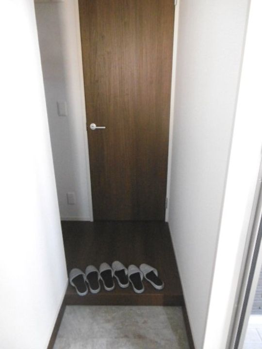 岩出ヒルズ Ⅲの玄関