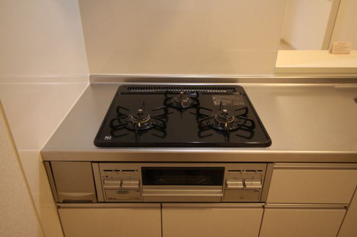 和歌山県岩出市中迫(アパート)の賃貸物件のキッチン