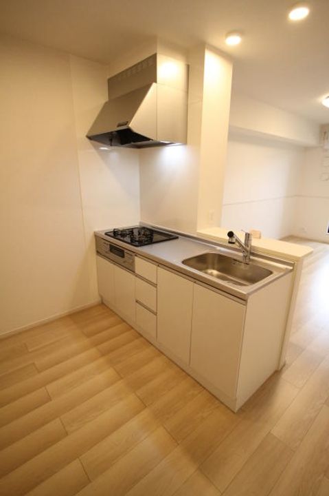 和歌山県岩出市中迫(アパート)の賃貸物件のキッチン