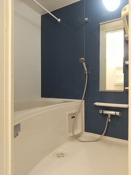 和歌山県和歌山市中之島(アパート)の賃貸物件の風呂