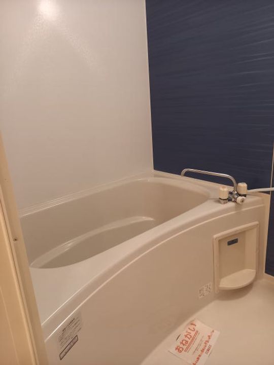 和歌山県和歌山市岩橋(アパート)の賃貸物件の風呂