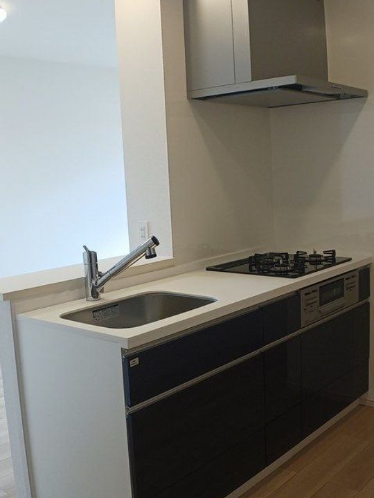 レッド スイートピーⅡのキッチン