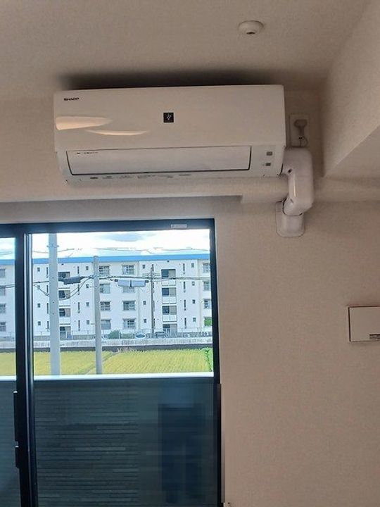 レッド スイートピーⅡのその他画像