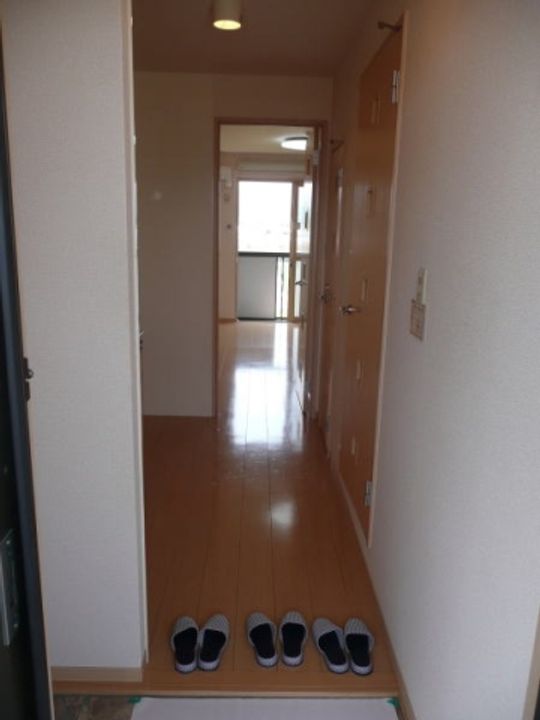 和歌山県和歌山市布引(アパート)の賃貸物件の玄関