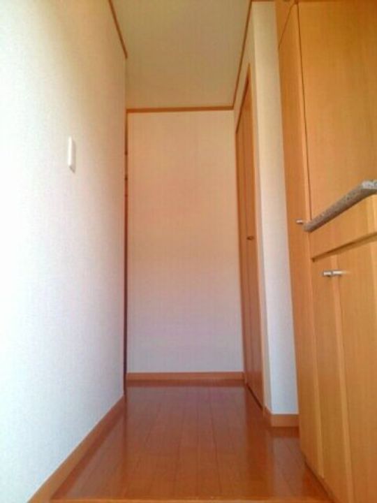 アクティ北鴨 C0102の玄関