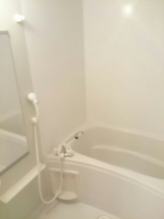 アクティ北鴨 C0102の風呂