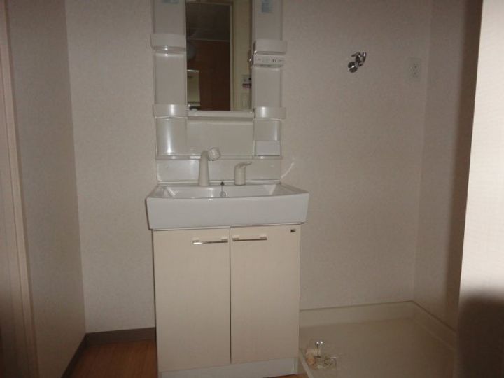 ヴィーナスのその他画像