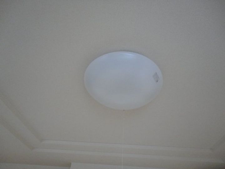 ヴィーナスのその他画像