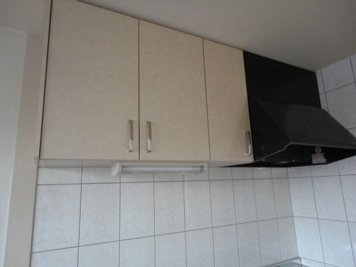 ヴィーナスのその他画像