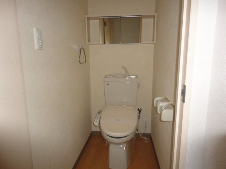 ヴィーナスのその他画像