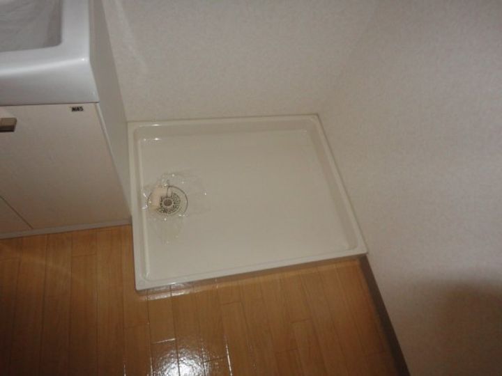 ヴィーナスのその他画像