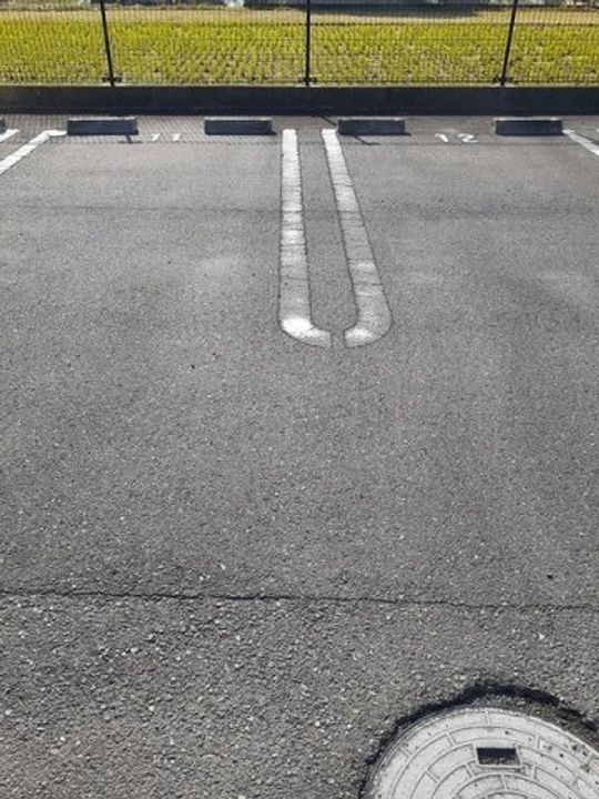 セレッソのその他画像