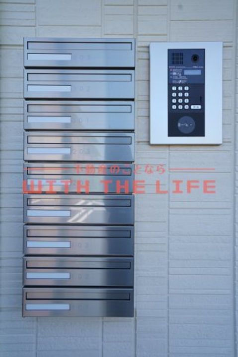 ルピナ梅満205号のその他画像